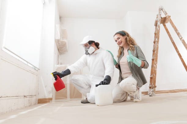Best Residential Mold Inspection & Testing  in Lebanon Junction, KY